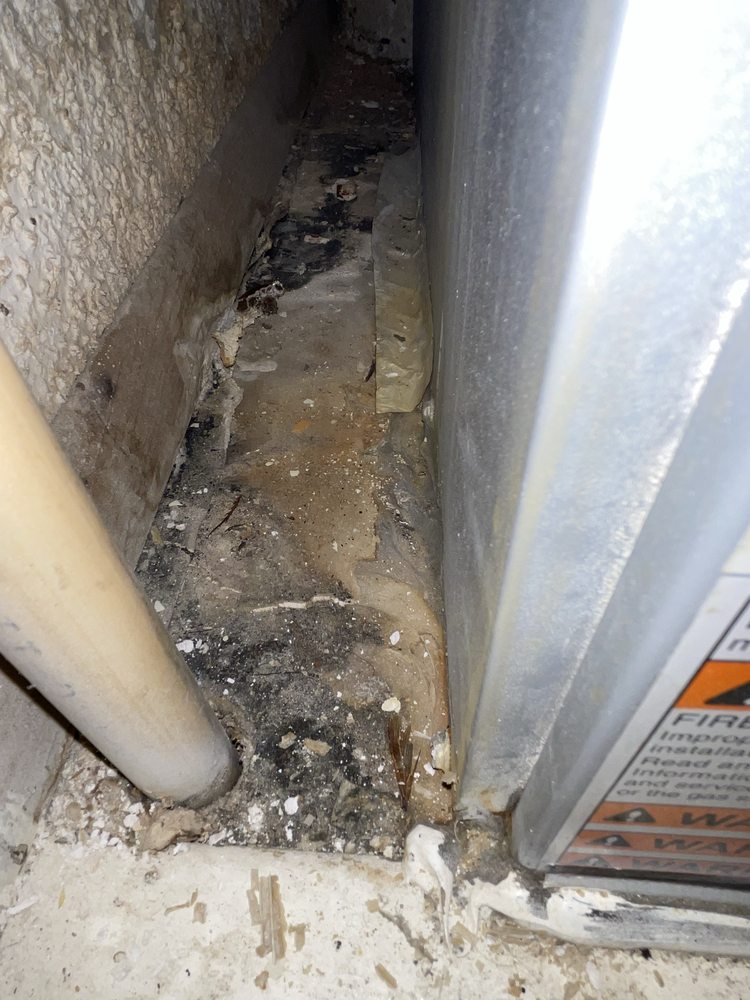 Shine Home Environmental - mold inspector in Riverside, CA