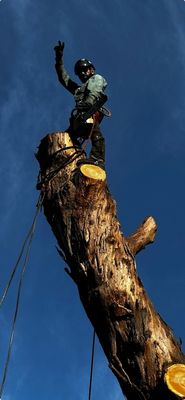 Fleurs et Sel by null