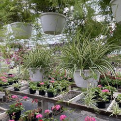 Fonseca's Farm & Greenhouses