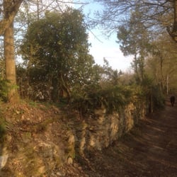 Reusche Park