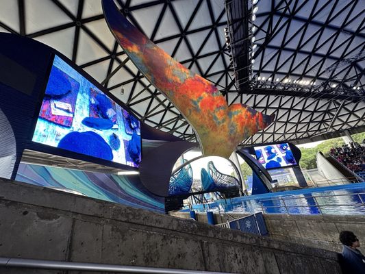 SeaWorld San Antonio by null