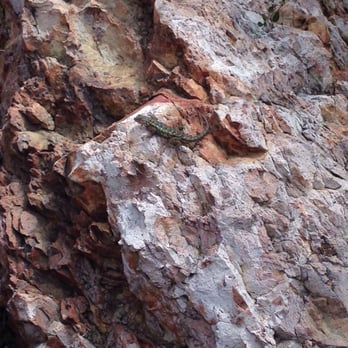 Solstice Canyon - Parks Near Me - Malibu, California