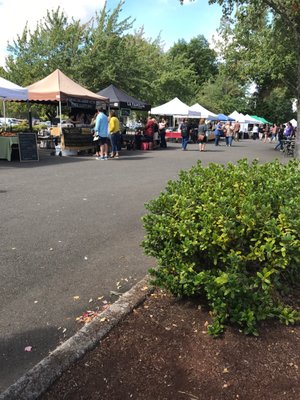 Salem Saturday Market by null