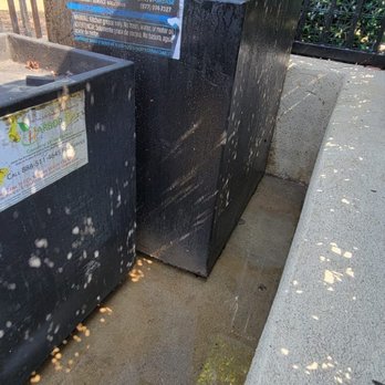 Preeminence Power Washing - After the wash - Pressure Washers Near Me Preeminence Power Washing - After the wash - Pressure Washers Near Me