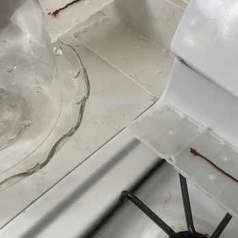 Orkin - On top of stove and counter tops - Pest Control Near Me - Hayward, California