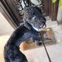 Photo of Dogs with Style