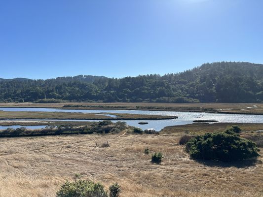 Tomales Bay Trailhead by null