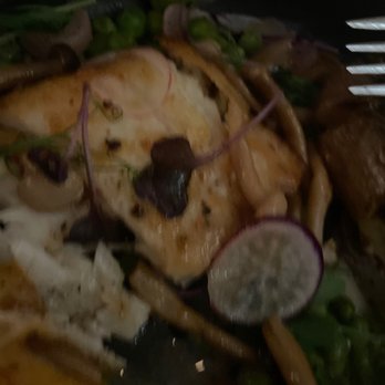 Farmshop - Halibut. Loved it.  Definitely eat here. Enough said. - New American Near Me - Santa Monica, California