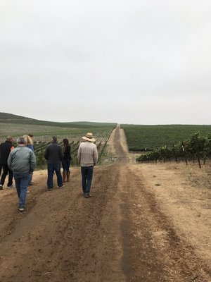 Bouchaine Vineyards by null