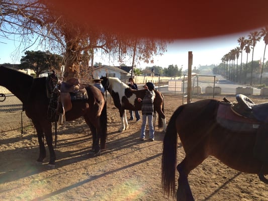 S&D Horseback Riding by null