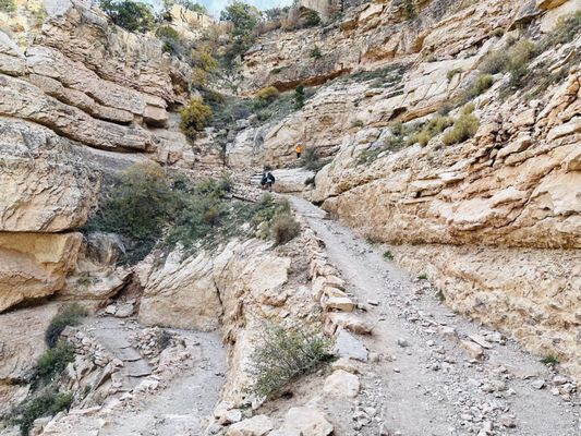 Ooh Aah Point by null