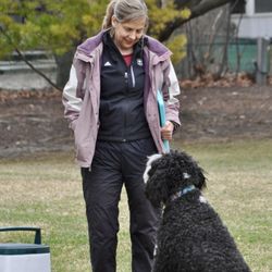 Dogease Puppy & Dog Training