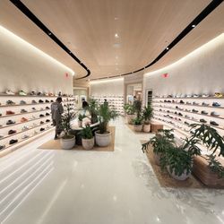 Kith