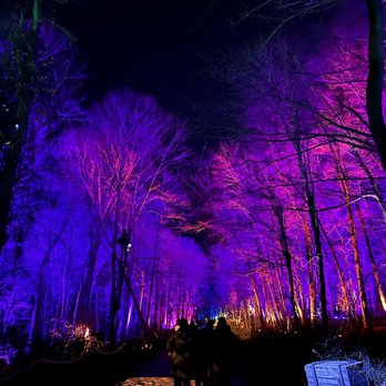 Harry Potter - A Forbidden Forest Experience - Walking Tours Near Me - Yorktown Heights, New York Harry Potter - A Forbidden Forest Experience - Walking Tours Near Me - Yorktown Heights, New York