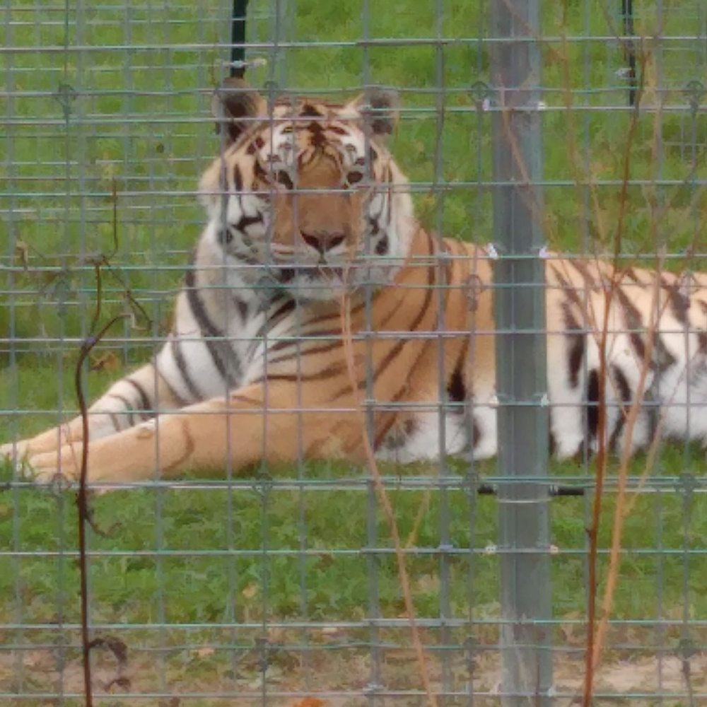 Shalom Wildlife Sanctuary - Parks Near Me - West Bend, Wisconsin