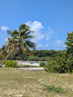 Caracas Beach by null
