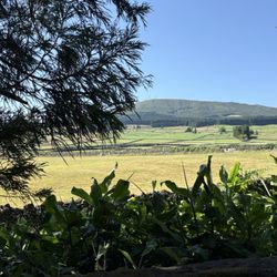 Azores Retreat