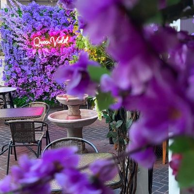 Queen Violet WeHo by null