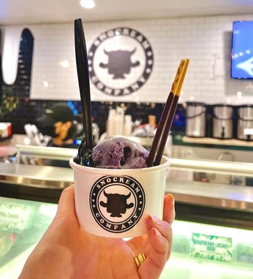 SnoCream Company by null