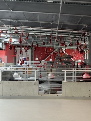 HALL Wines St. Helena by null