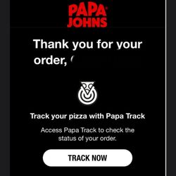 Papa Johns Pizza