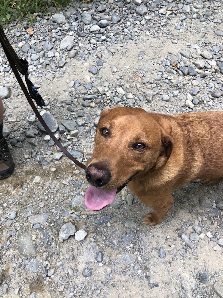 COLD RIVER CAMPGROUND 10 Photos 211 Riverside Dr, Eddington, Maine Campgrounds Phone
