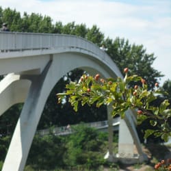 Katzenbuckel, Brücke am Mülheimer Hafen