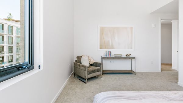 St Paul Collection by null