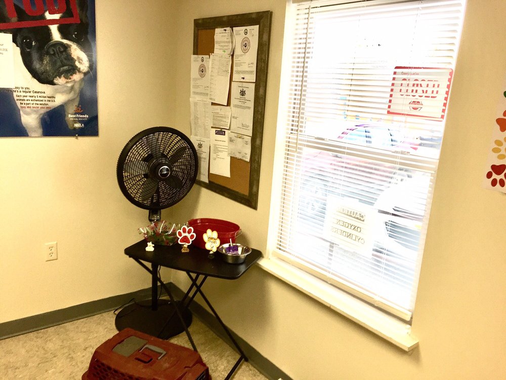 NO NONSENSE NEUTERING BERKS Updated August 2024 12 Photos & 11