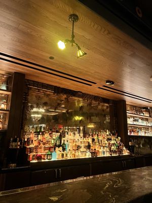 Double Knot Miami by null