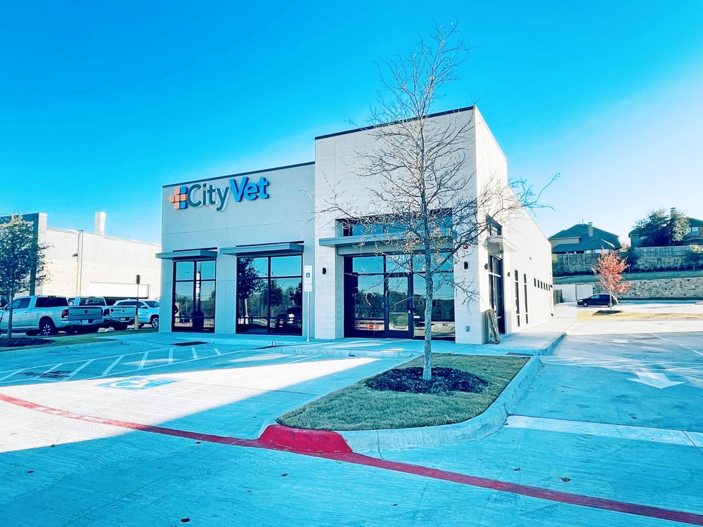 CityVet - McKinney
