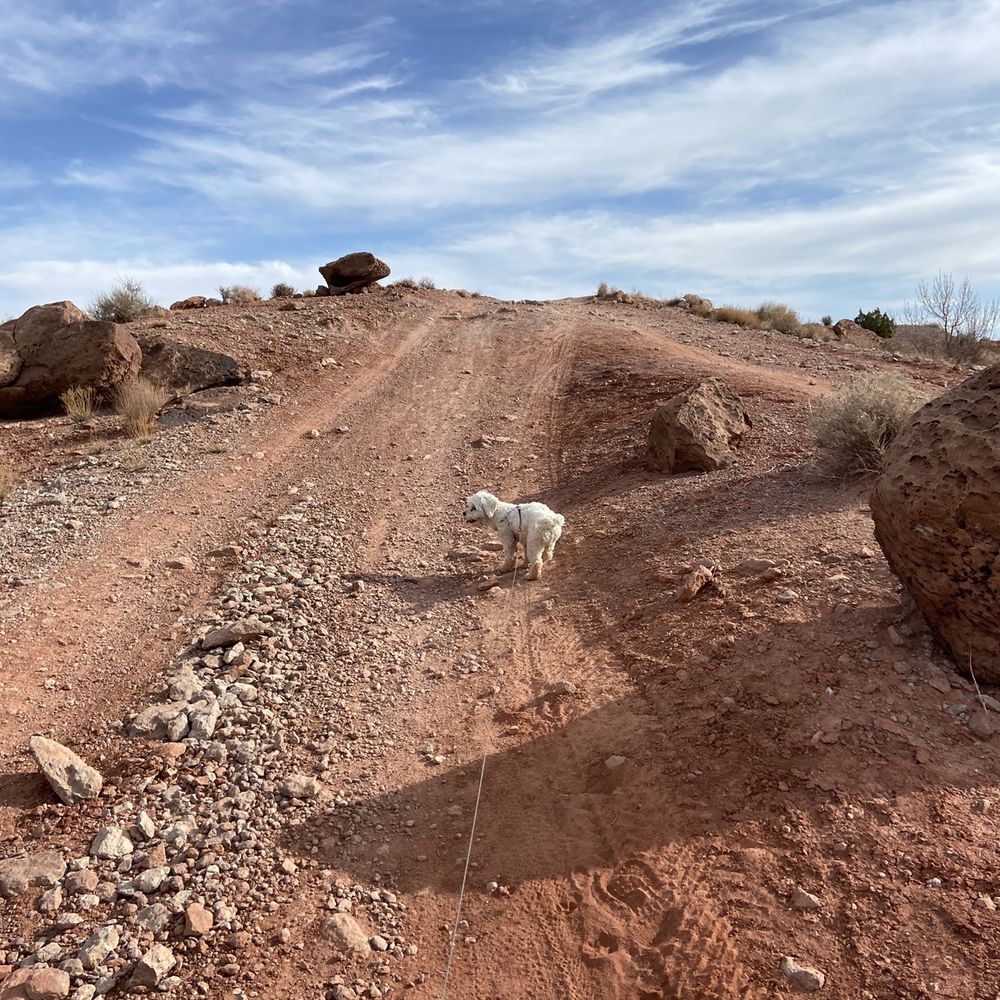 Moab Cliffs & Canyons - Climbing Near Me - Moab, Utah Moab Cliffs & Canyons - Climbing Near Me - Moab, Utah