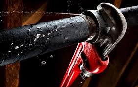 Slide of Mp Universal Services