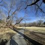 Photo of Roanoke Park