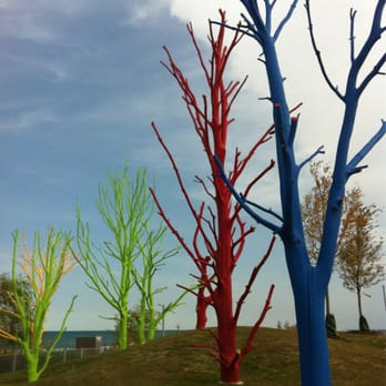 31st Street Beach - Colored trees - Beaches Near Me - Chicago, Illinois 31st Street Beach - Colored trees - Beaches Near Me - Chicago, Illinois