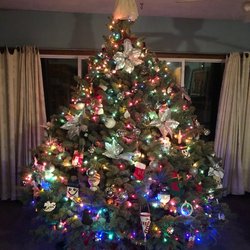 Grzenda Farm Christmas Trees & Wreaths