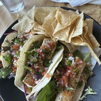 Saltwater Crab - Mahi Mahi Taco (3 pcs) - Seafood Near Me - Memphis, Tennessee Saltwater Crab - Mahi Mahi Taco (3 pcs) - Seafood Near Me - Memphis, Tennessee