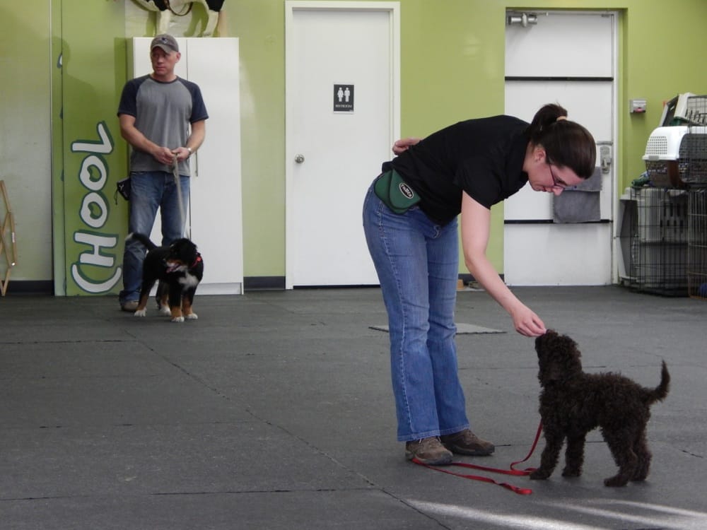 OTTAWA CANINE SCHOOL Updated September 2024 401 B St. Laurent