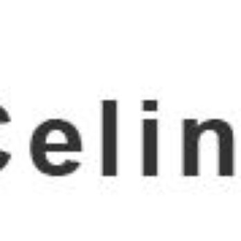 Salon Celine - Hair Salons Near Me - Silver Spring, Maryland