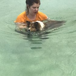Four Star Wellness - Miranda working with Daisy.