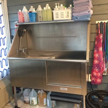 Critter Company - Pet Groomers Near Me Critter Company - Pet Groomers Near Me