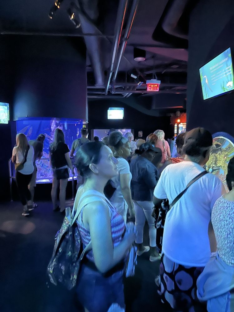 RIPLEY’S AQUARIUM OF CANADA 3554 Photos & 677 Reviews 288 Bremner