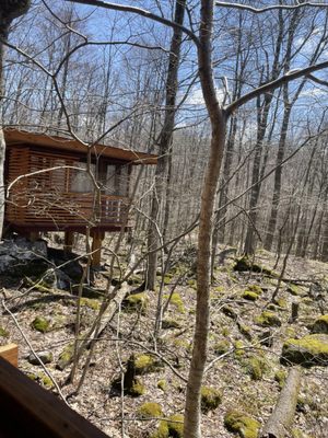 TreeTops Restaurant by null