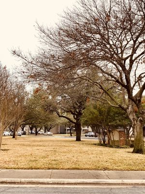 Green-Grounds by null