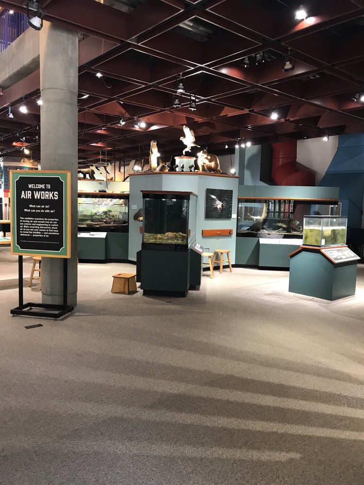 MONTSHIRE MUSEUM OF SCIENCE 36 Photos & 30 Reviews Museums 1