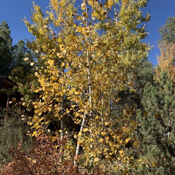 The Arboretum at Flagstaff - Parks Near Me - Flagstaff, Arizona