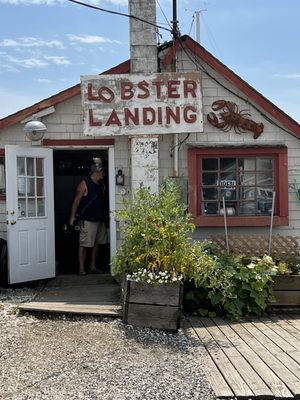 Lobster Landing by null