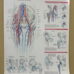 Marc A Asselmeier, MD - Hip