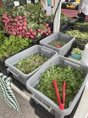 Sunnyside Greenmarket by null