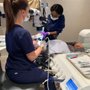 Photo of Courtney K. Linenberg, DDS